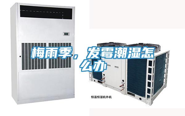 梅雨季，發(fā)霉潮濕怎么辦