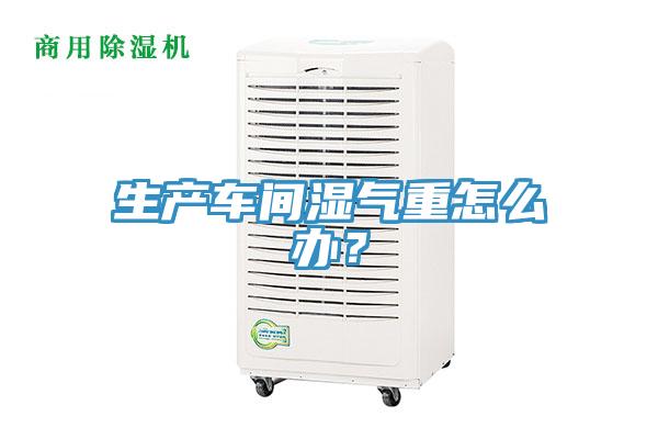 生產(chǎn)車間濕氣重怎么辦？