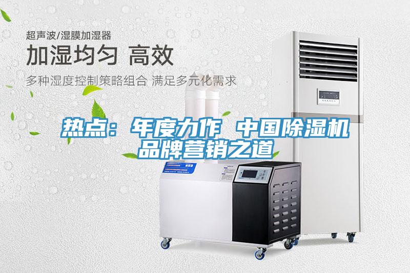 熱點(diǎn)：年度力作 中國(guó)除濕機(jī)品牌營(yíng)銷(xiāo)之道