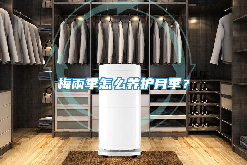 梅雨季怎么養(yǎng)護月季？