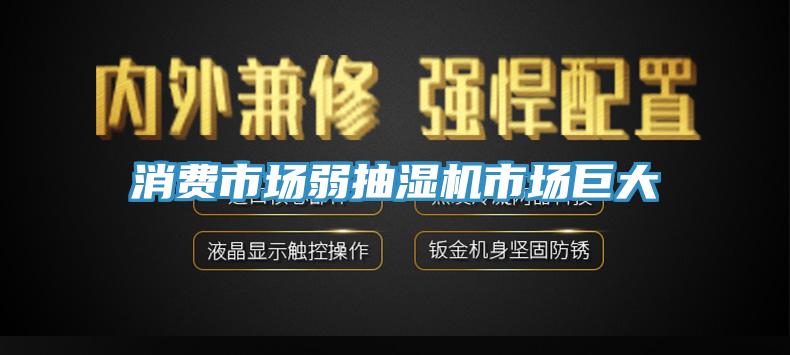 消費(fèi)市場弱抽濕機(jī)市場巨大