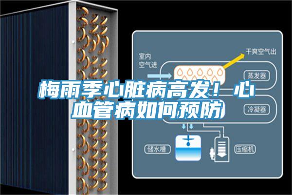 梅雨季心臟病高發(fā)！心血管病如何預防