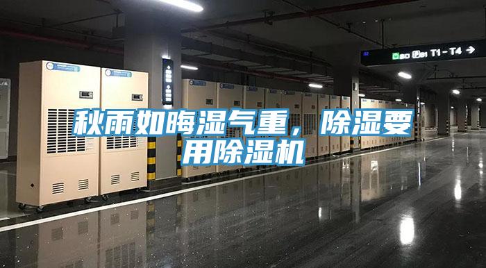 秋雨如晦濕氣重，除濕要用除濕機