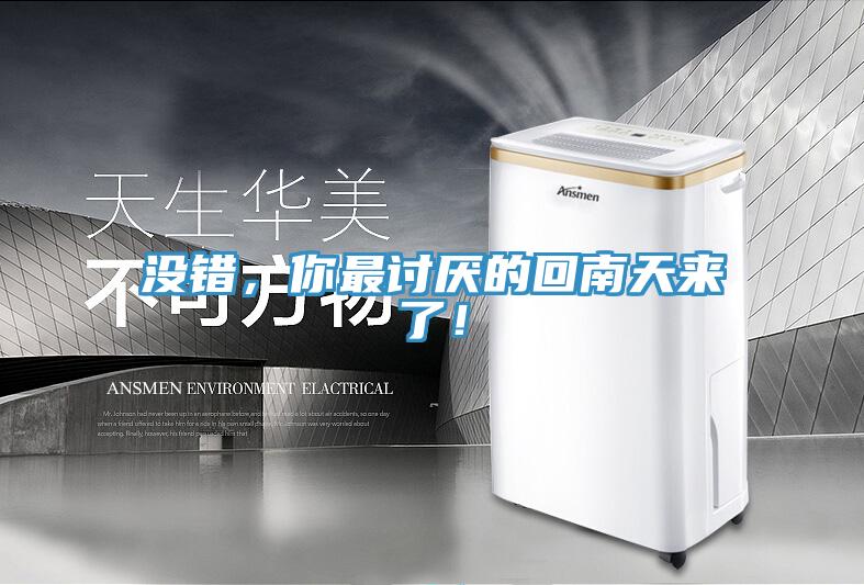 沒錯，你最討厭的回南天來了！