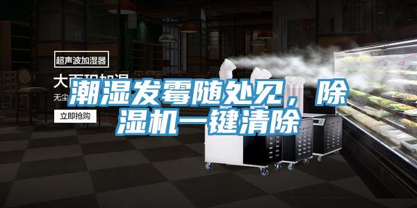 潮濕發(fā)霉隨處見，除濕機一鍵清除