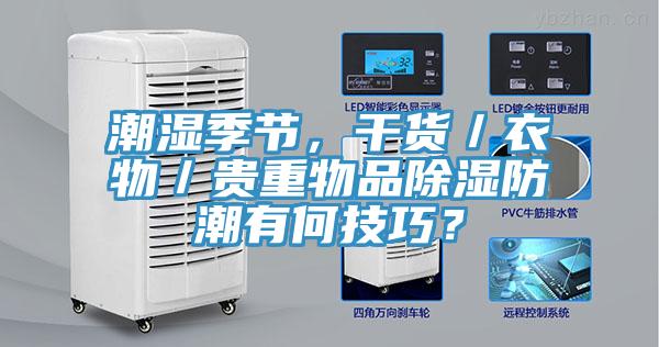潮濕季節(jié)，干貨／衣物／貴重物品除濕防潮有何技巧？