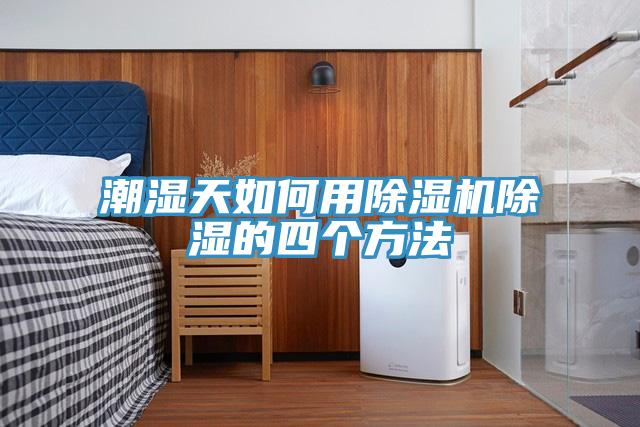 潮濕天如何用除濕機(jī)除濕的四個(gè)方法
