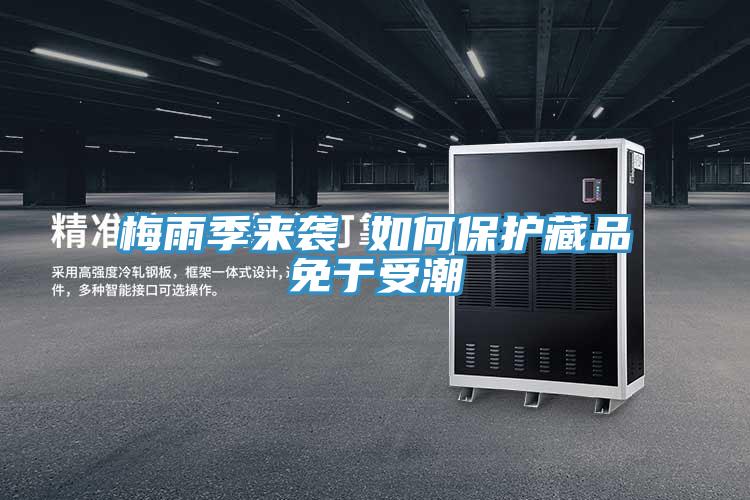 梅雨季來襲 如何保護藏品免于受潮