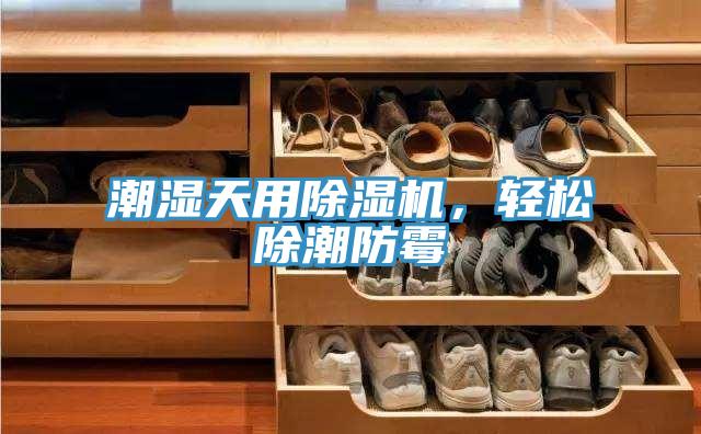 潮濕天用除濕機，輕松除潮防霉