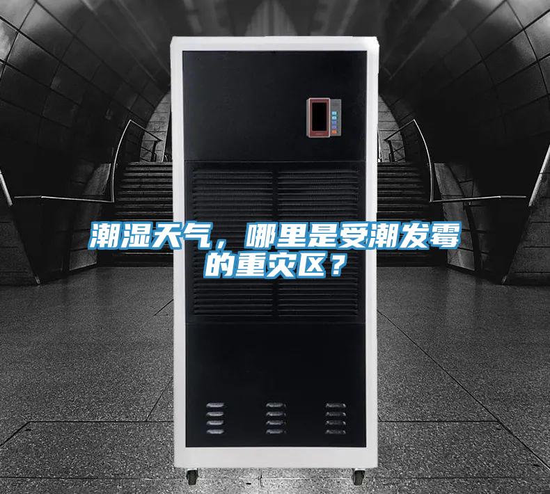 潮濕天氣，哪里是受潮發(fā)霉的重災(zāi)區(qū)？