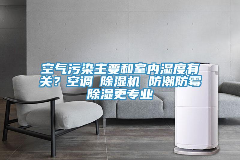 空氣污染主要和室內(nèi)濕度有關？空調(diào)≠除濕機 防潮防霉除濕更專業(yè)