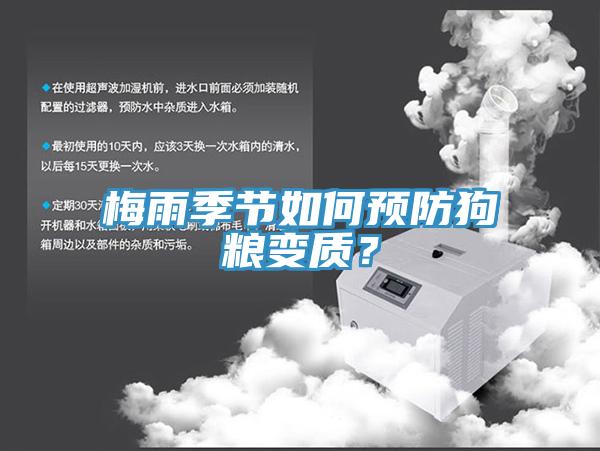 梅雨季節(jié)如何預防狗糧變質(zhì)？