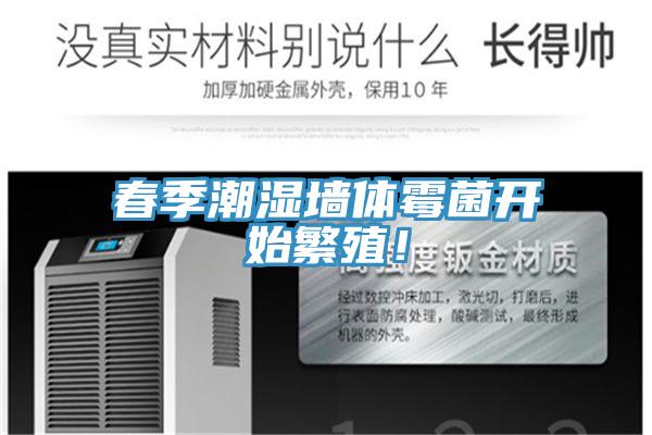 春季潮濕墻體霉菌開始繁殖！