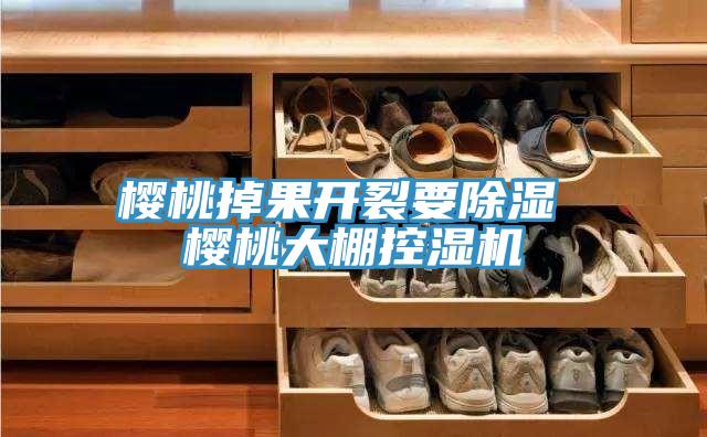 櫻桃掉果開裂要除濕 櫻桃大棚控濕機