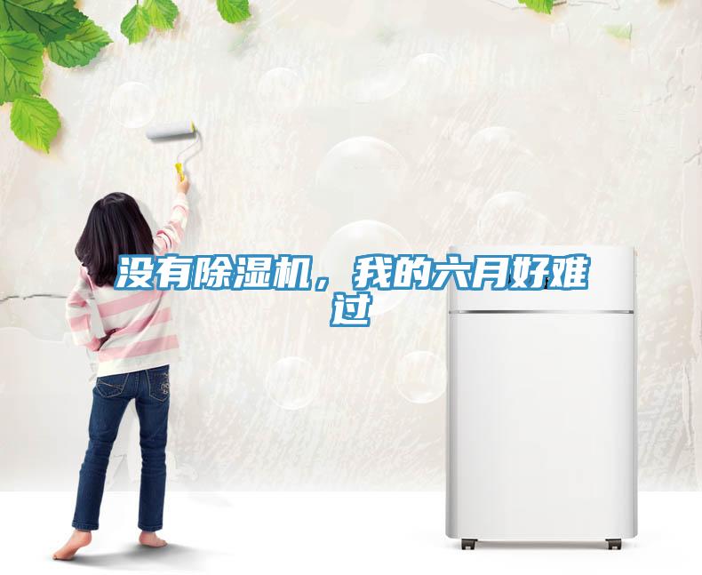 沒(méi)有除濕機(jī)，我的六月好難過(guò)