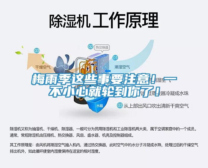 梅雨季這些事要注意！一不小心就輪到你了！
