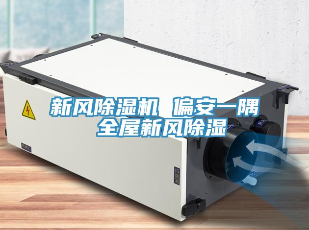 新風除濕機 偏安一隅 全屋新風除濕