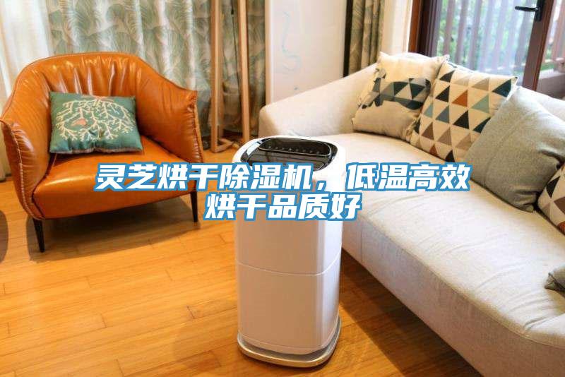 靈芝烘干除濕機(jī)，低溫高效烘干品質(zhì)好