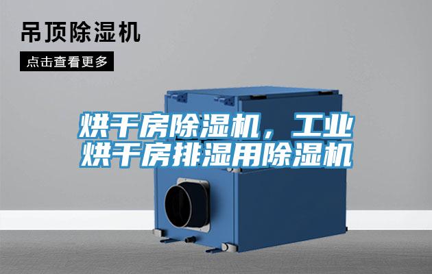烘干房除濕機(jī)，工業(yè)烘干房排濕用除濕機(jī)