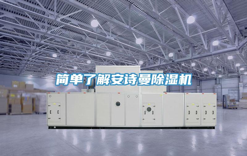 簡(jiǎn)單了解安詩(shī)曼除濕機(jī)