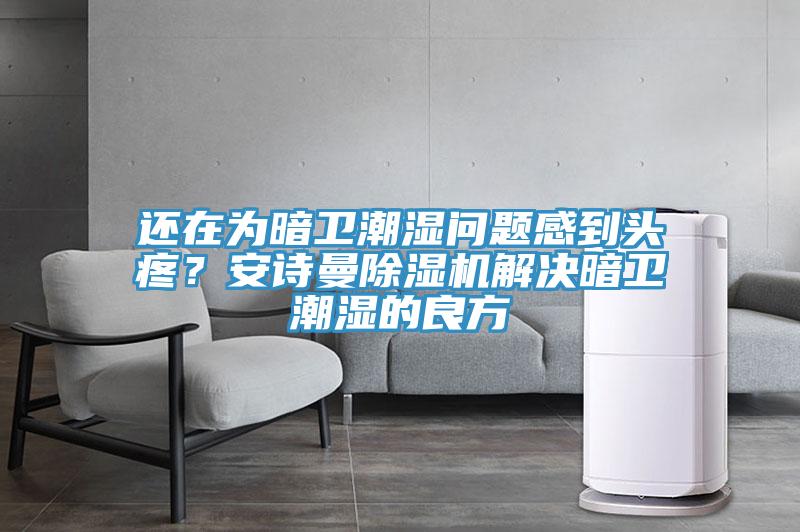 還在為暗衛(wèi)潮濕問題感到頭疼？安詩(shī)曼除濕機(jī)解決暗衛(wèi)潮濕的良方