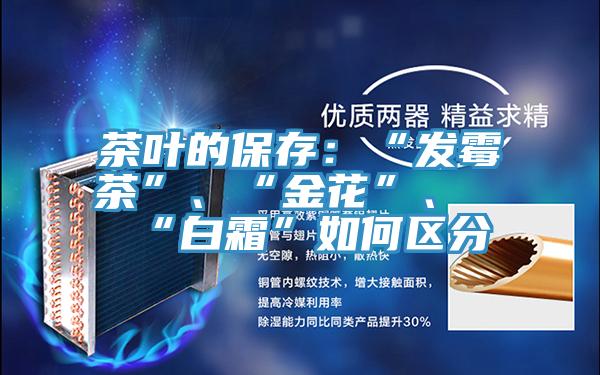 茶葉的保存：“發(fā)霉茶”、“金花”、“白霜”如何區(qū)分