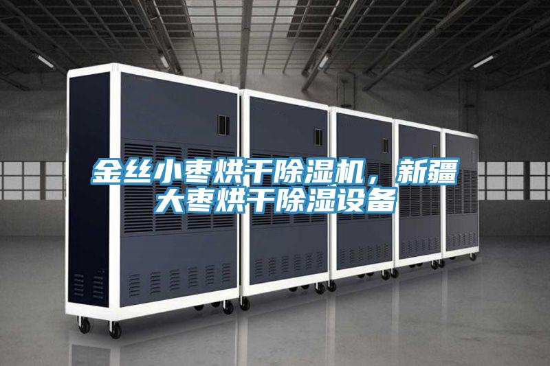金絲小棗烘干除濕機(jī)，新疆大棗烘干除濕設(shè)備