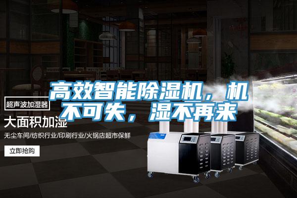 高效智能除濕機(jī)，機(jī)不可失，濕不再來