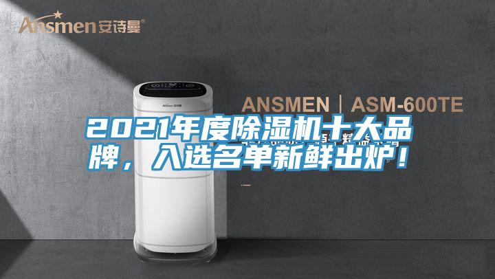 2021年度除濕機(jī)十大品牌，入選名單新鮮出爐！