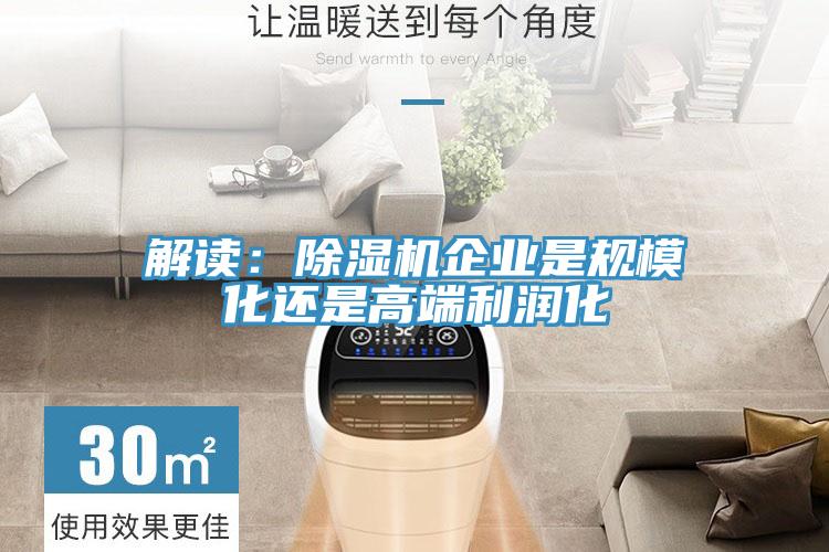 解讀：除濕機企業(yè)是規(guī)?；€是高端利潤化