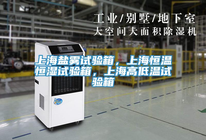 上海鹽霧試驗(yàn)箱，上海恒溫恒濕試驗(yàn)箱，上海高低溫試驗(yàn)箱