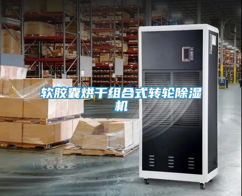 軟膠囊烘干組合式轉(zhuǎn)輪除濕機