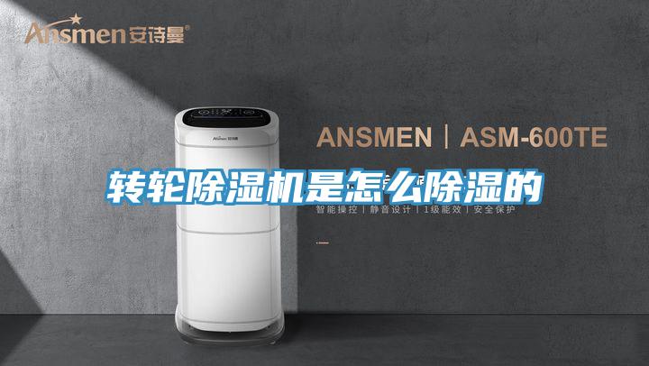 轉(zhuǎn)輪除濕機(jī)是怎么除濕的