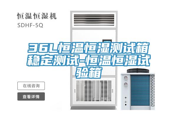 36L恒溫恒濕測(cè)試箱穩(wěn)定測(cè)試-恒溫恒濕試驗(yàn)箱