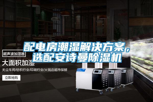配電房潮濕解決方案，選配安詩(shī)曼除濕機(jī)
