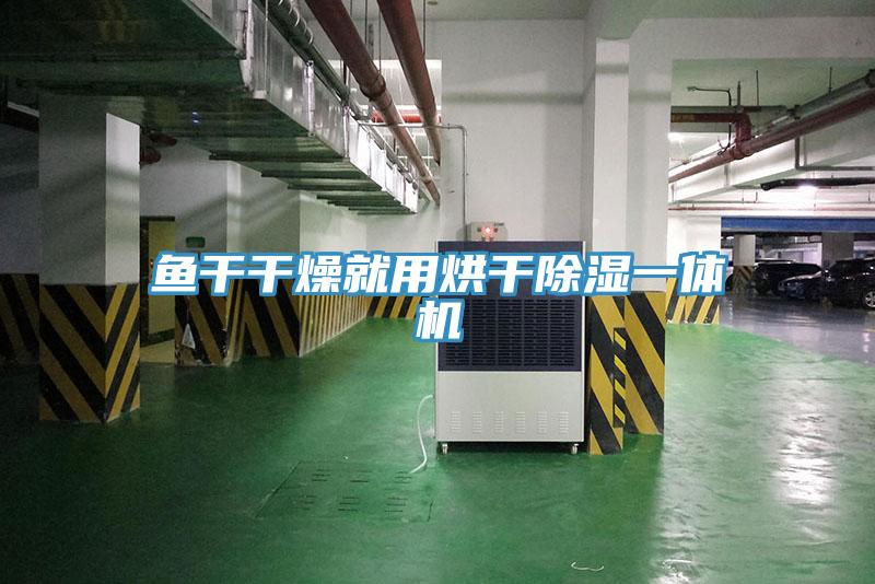 魚(yú)干干燥就用烘干除濕一體機(jī)
