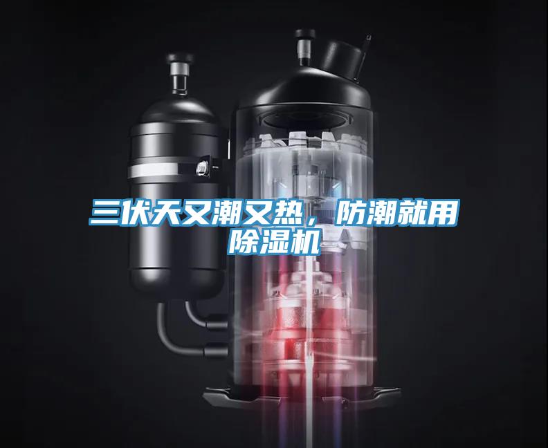 三伏天又潮又熱，防潮就用除濕機(jī)