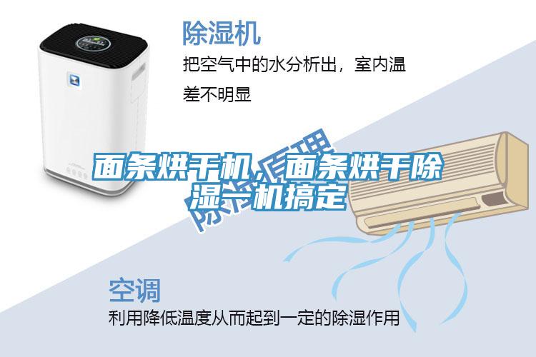面條烘干機(jī)，面條烘干除濕一機(jī)搞定