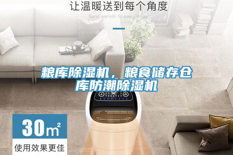糧庫除濕機(jī)，糧食儲(chǔ)存?zhèn)}庫防潮除濕機(jī)