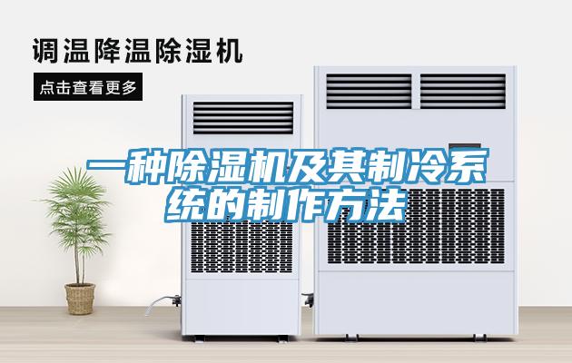 一種除濕機及其制冷系統的制作方法