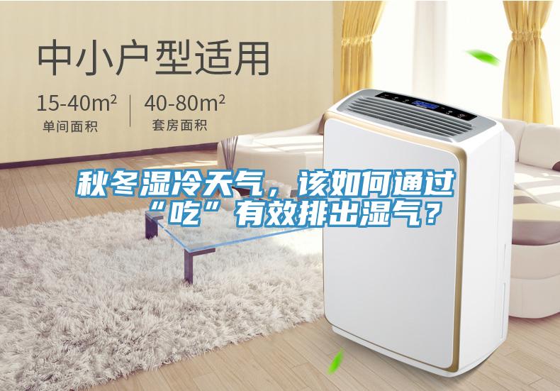 秋冬濕冷天氣，該如何通過(guò)“吃”有效排出濕氣？