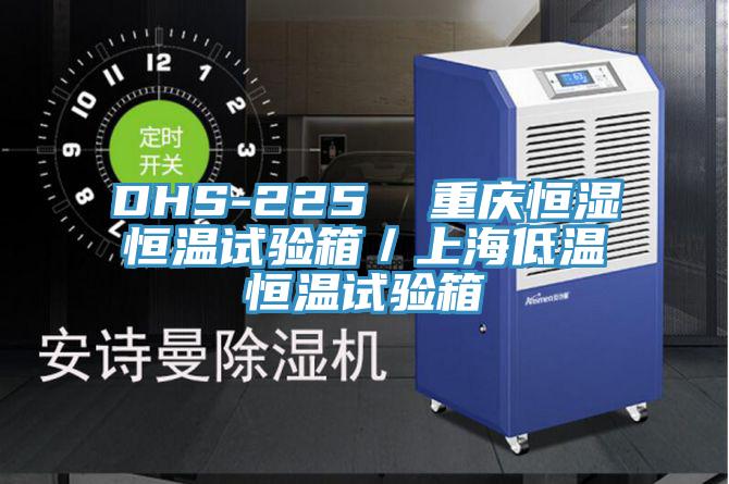 DHS-225  重慶恒濕恒溫試驗(yàn)箱／上海低溫恒溫試驗(yàn)箱