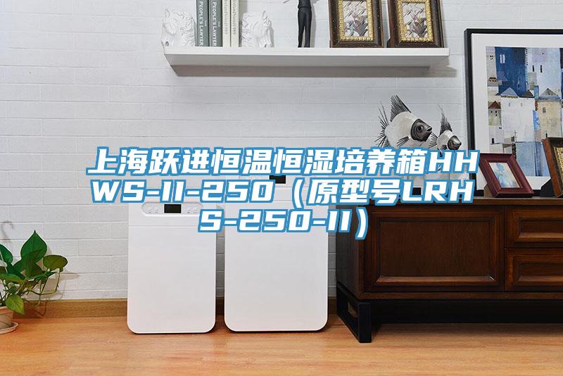上海躍進(jìn)恒溫恒濕培養(yǎng)箱HHWS-II-250（原型號(hào)LRHS-250-II）