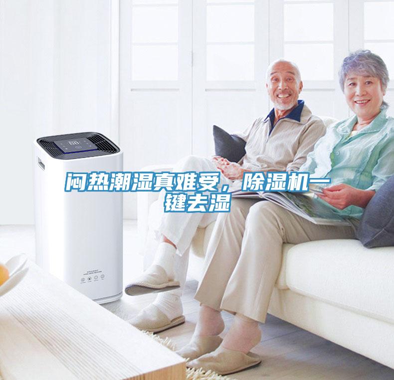 悶熱潮濕真難受，除濕機一鍵去濕