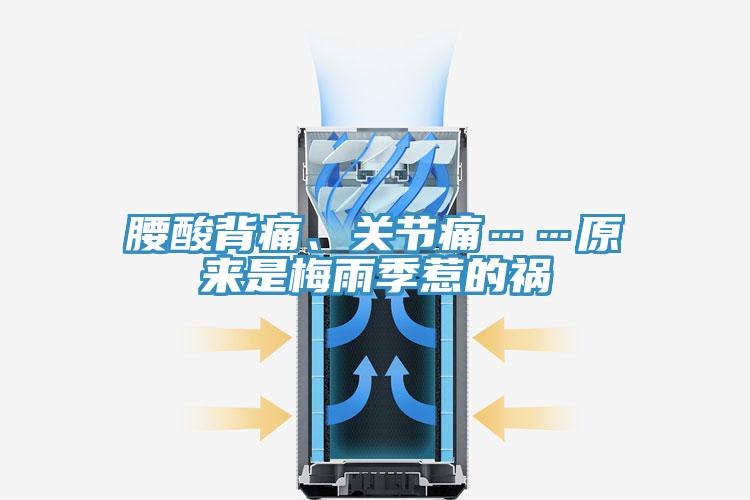 腰酸背痛、關(guān)節(jié)痛……原來是梅雨季惹的禍