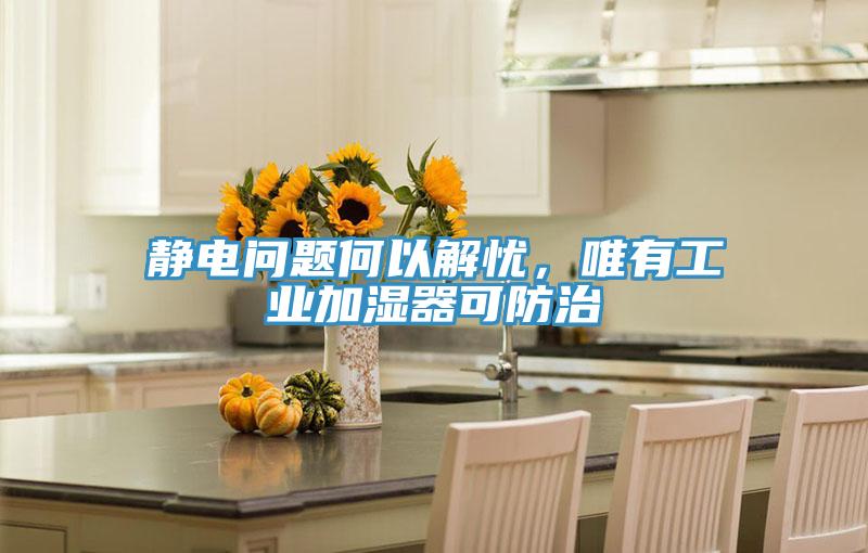 靜電問題何以解憂，唯有工業(yè)加濕器可防治