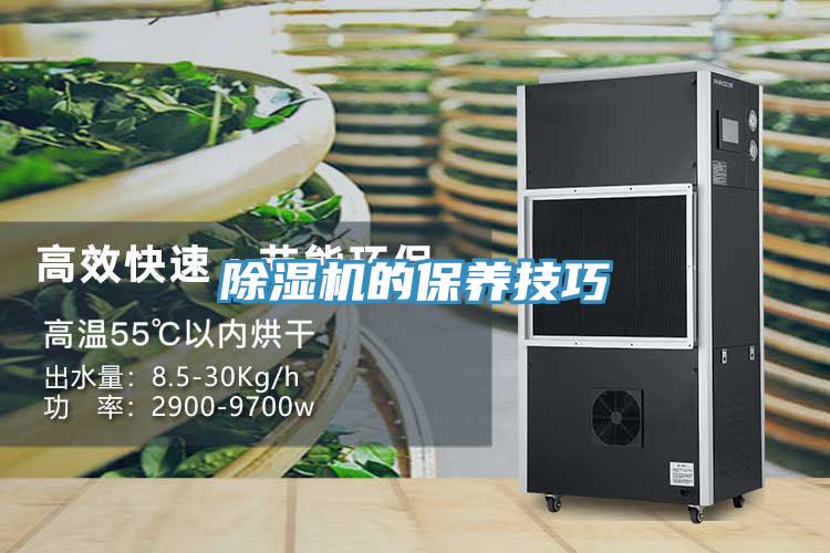 除濕機的保養(yǎng)技巧