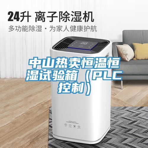 中山熱賣恒溫恒濕試驗箱（PLC控制）