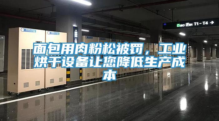 面包用肉粉松被罰，工業(yè)烘干設(shè)備讓您降低生產(chǎn)成本