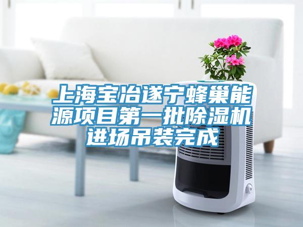 上海寶冶遂寧蜂巢能源項(xiàng)目第一批除濕機(jī)進(jìn)場(chǎng)吊裝完成